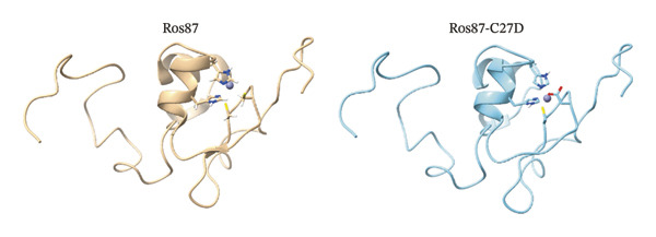 Figure 10