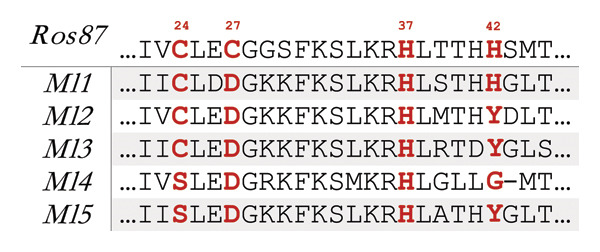 Figure 12
