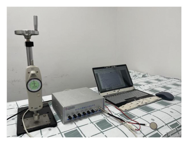 FIGURE 1