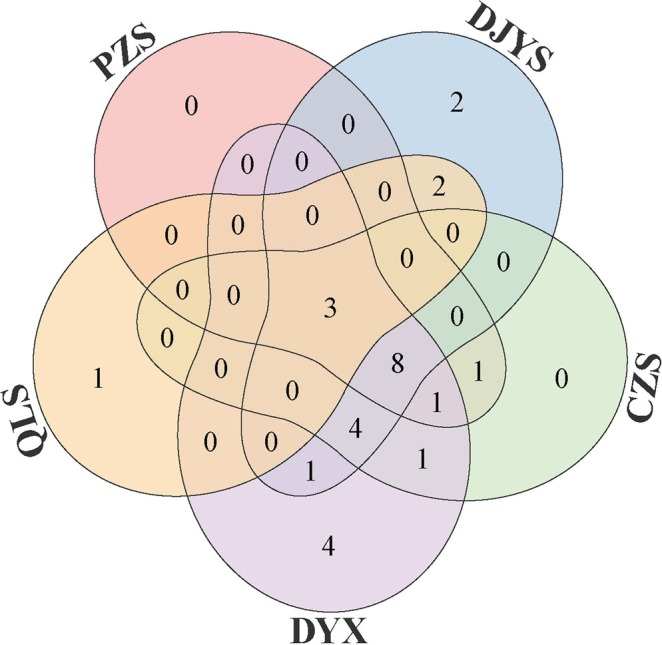 FIGURE 2
