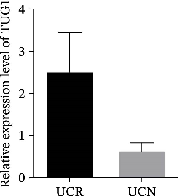 Figure 15