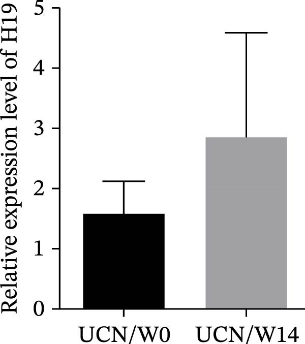 Figure 18