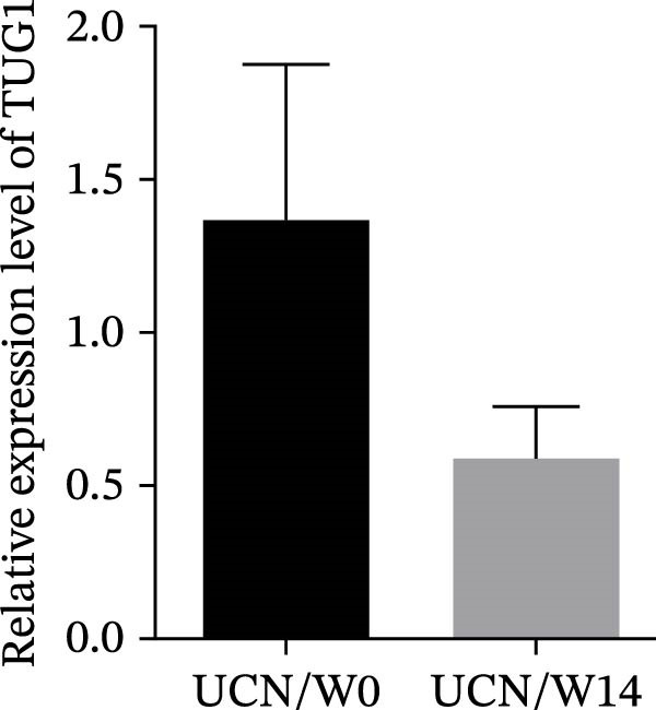 Figure 19