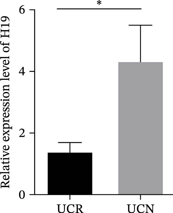 Figure 20