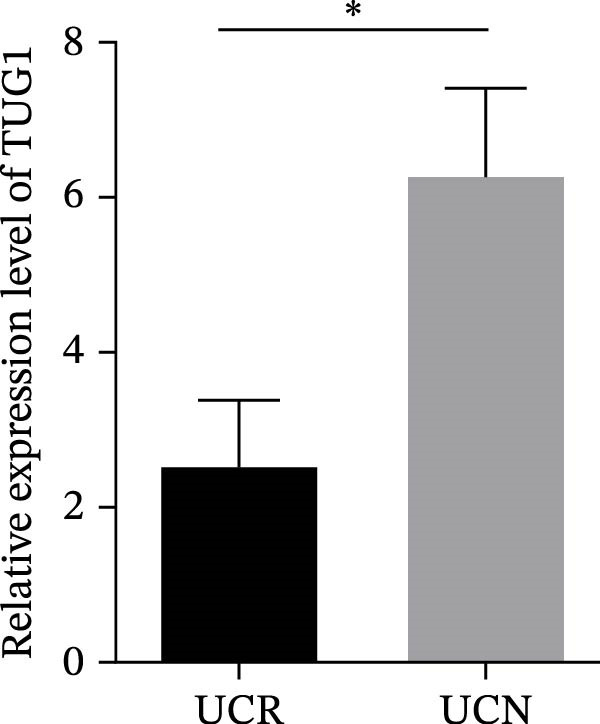 Figure 21