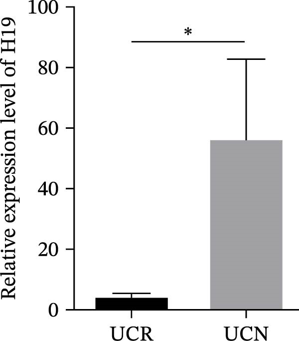 Figure 22