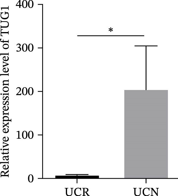 Figure 23