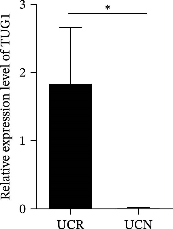Figure 29