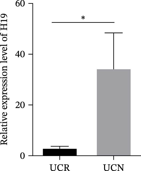 Figure 30