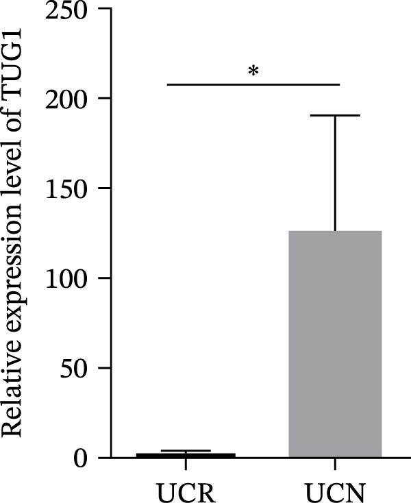 Figure 31