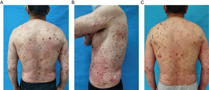 FIGURE 1