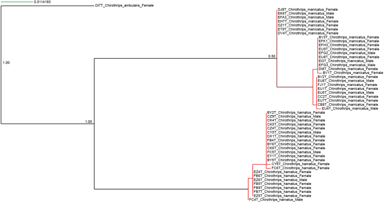 Figure 12