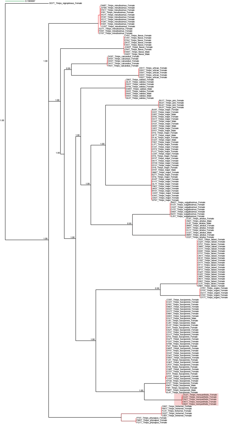 Figure 14