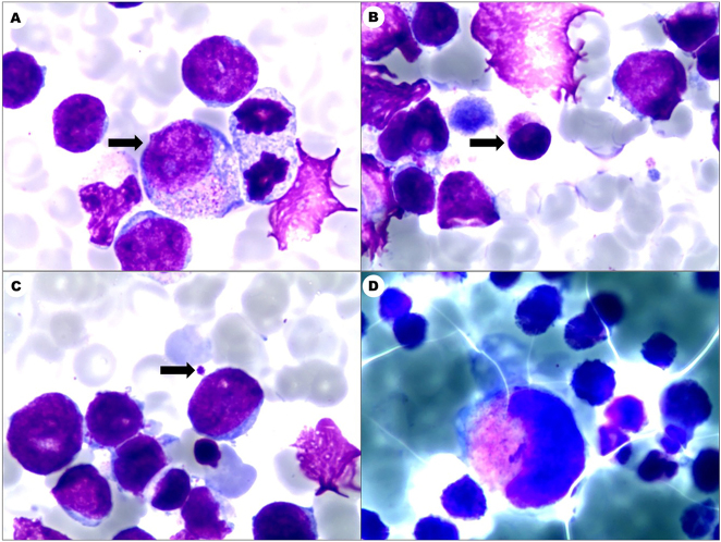 Figure 1