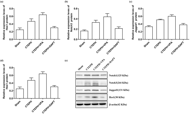 Figure 6