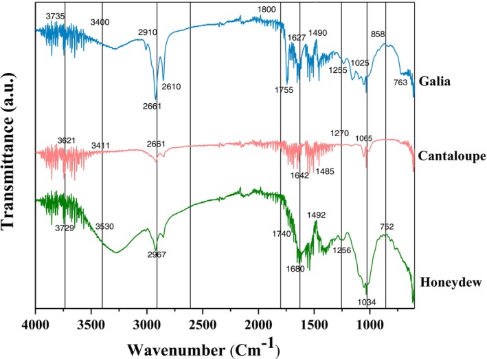 FIGURE 4