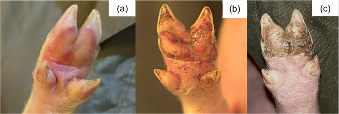 Figure 7