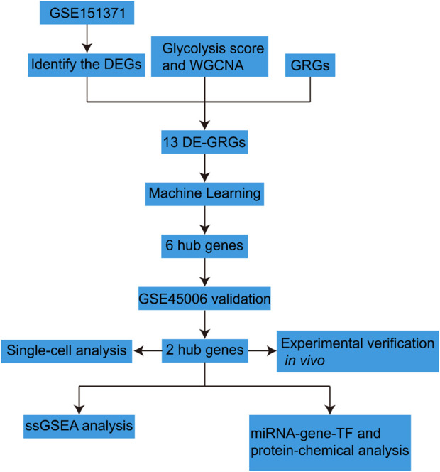 FIGURE 1