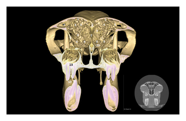 FIGURE 2