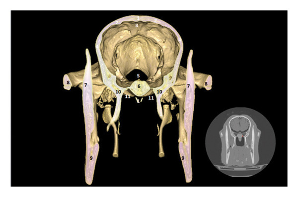 FIGURE 3