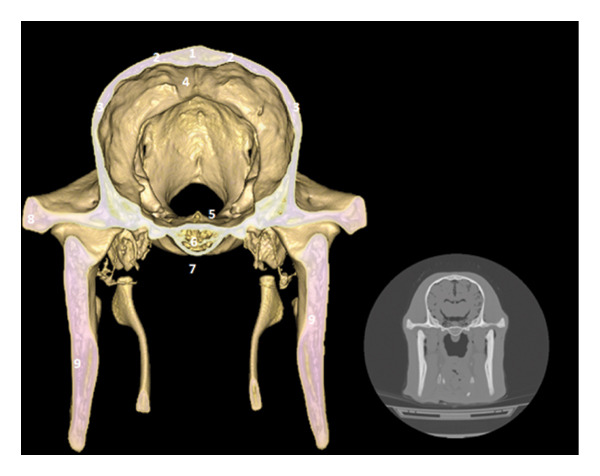 FIGURE 4