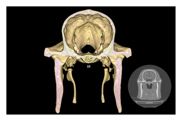 FIGURE 5