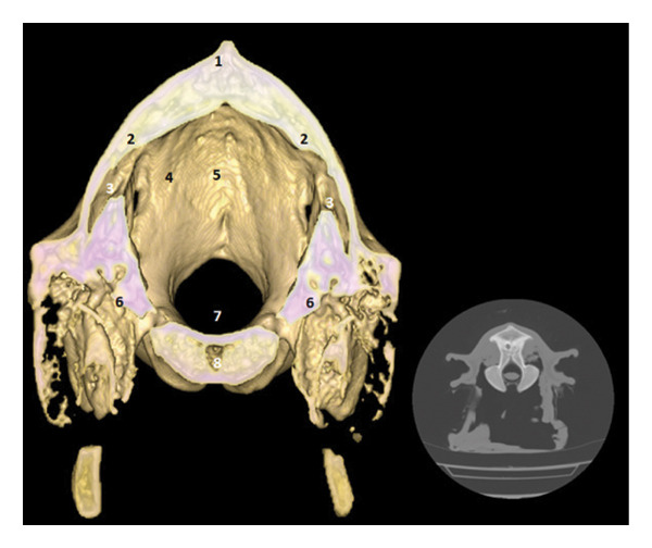 FIGURE 6