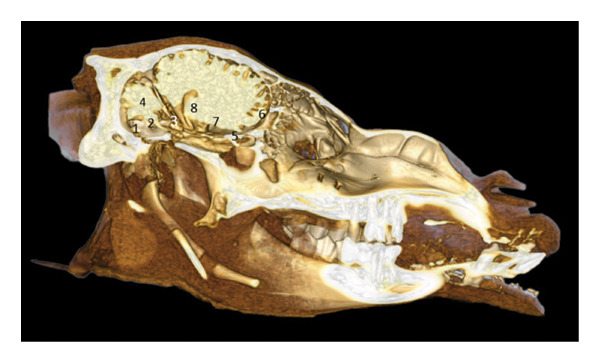 FIGURE 13