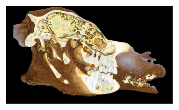 FIGURE 14