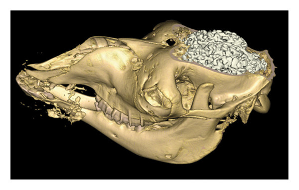 FIGURE 16