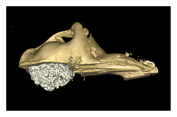 FIGURE 17