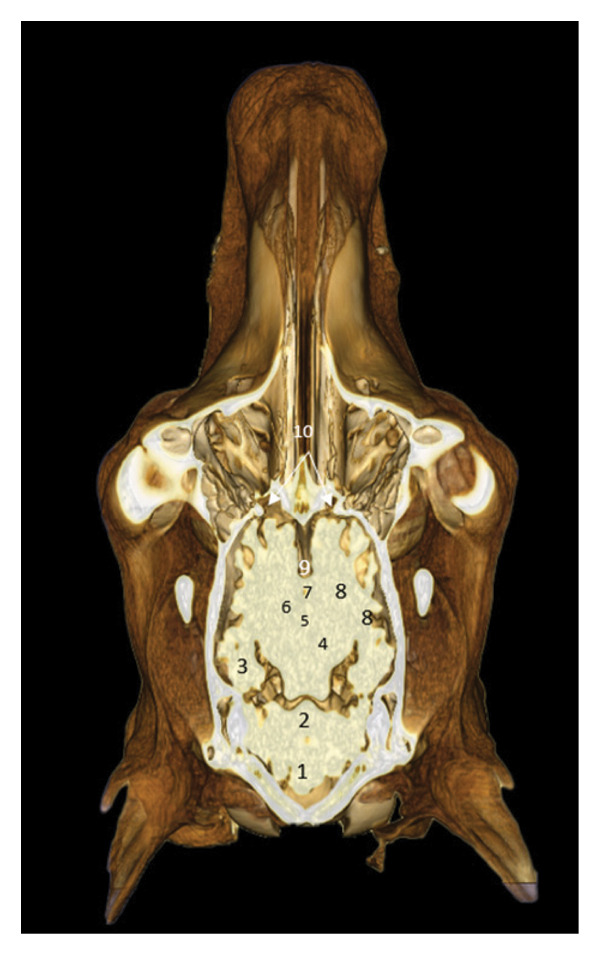 FIGURE 22