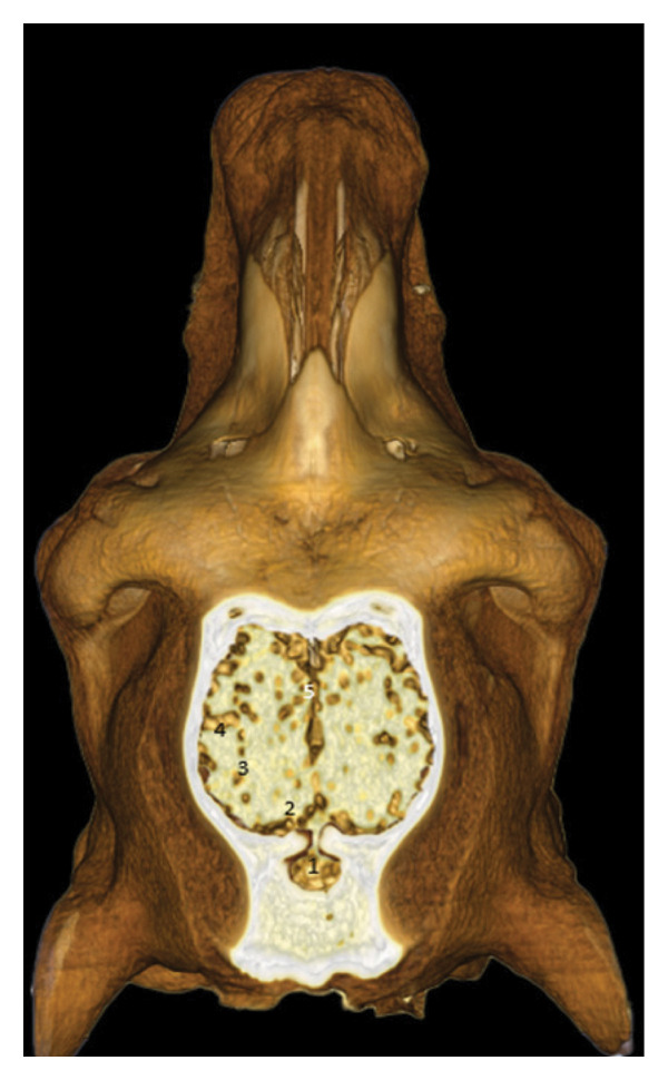 FIGURE 23