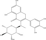 Figure 24