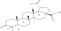 Figure 26