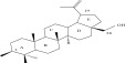 Figure 28