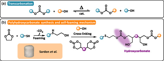 SCHEME 9
