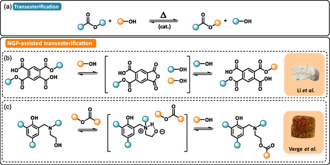 SCHEME 5
