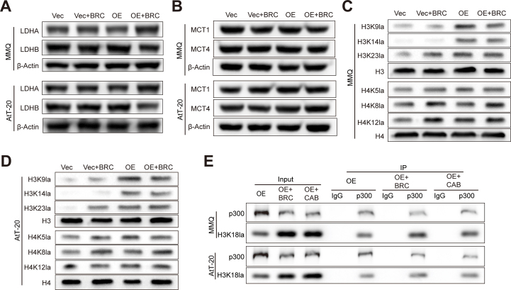 Figure 19