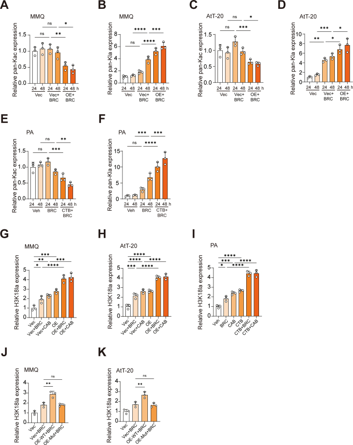 Figure 20