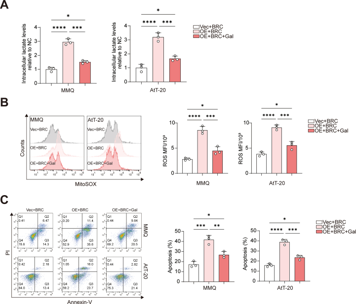 Figure 21
