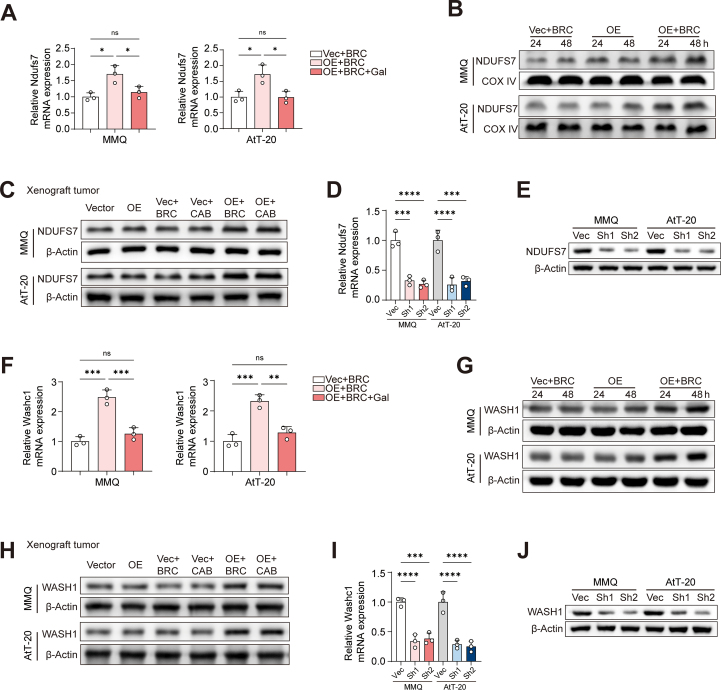 Figure 22