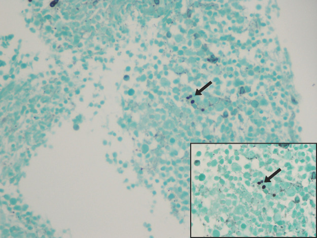 Figure 1