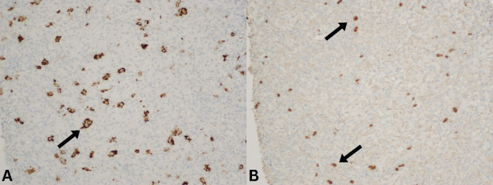 Figure 3