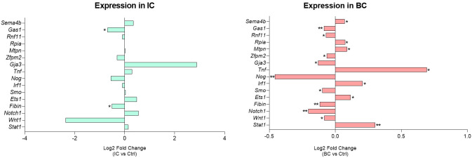 Figure 5
