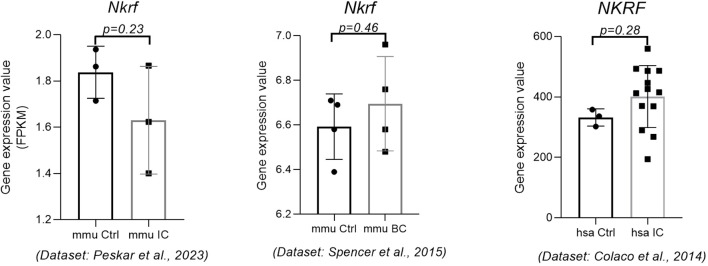 Figure 7