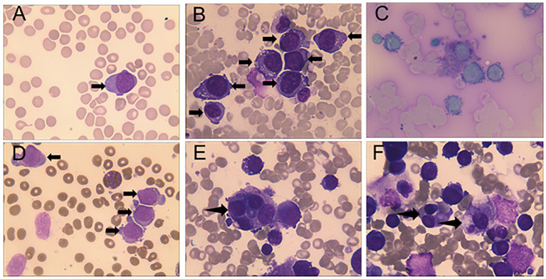 Figure 1