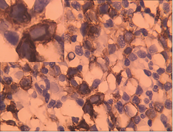 Figure 2