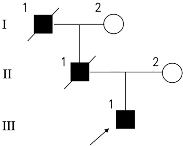 Figure 1