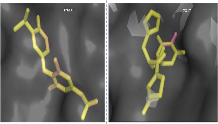Figure 2
